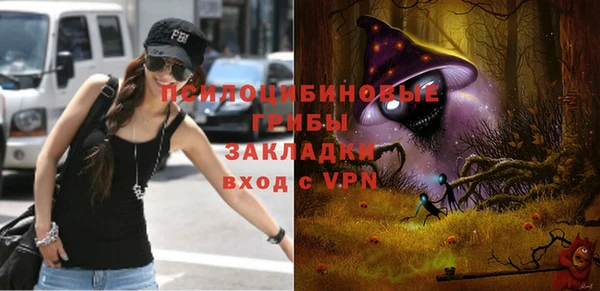 а пвп мука Бородино